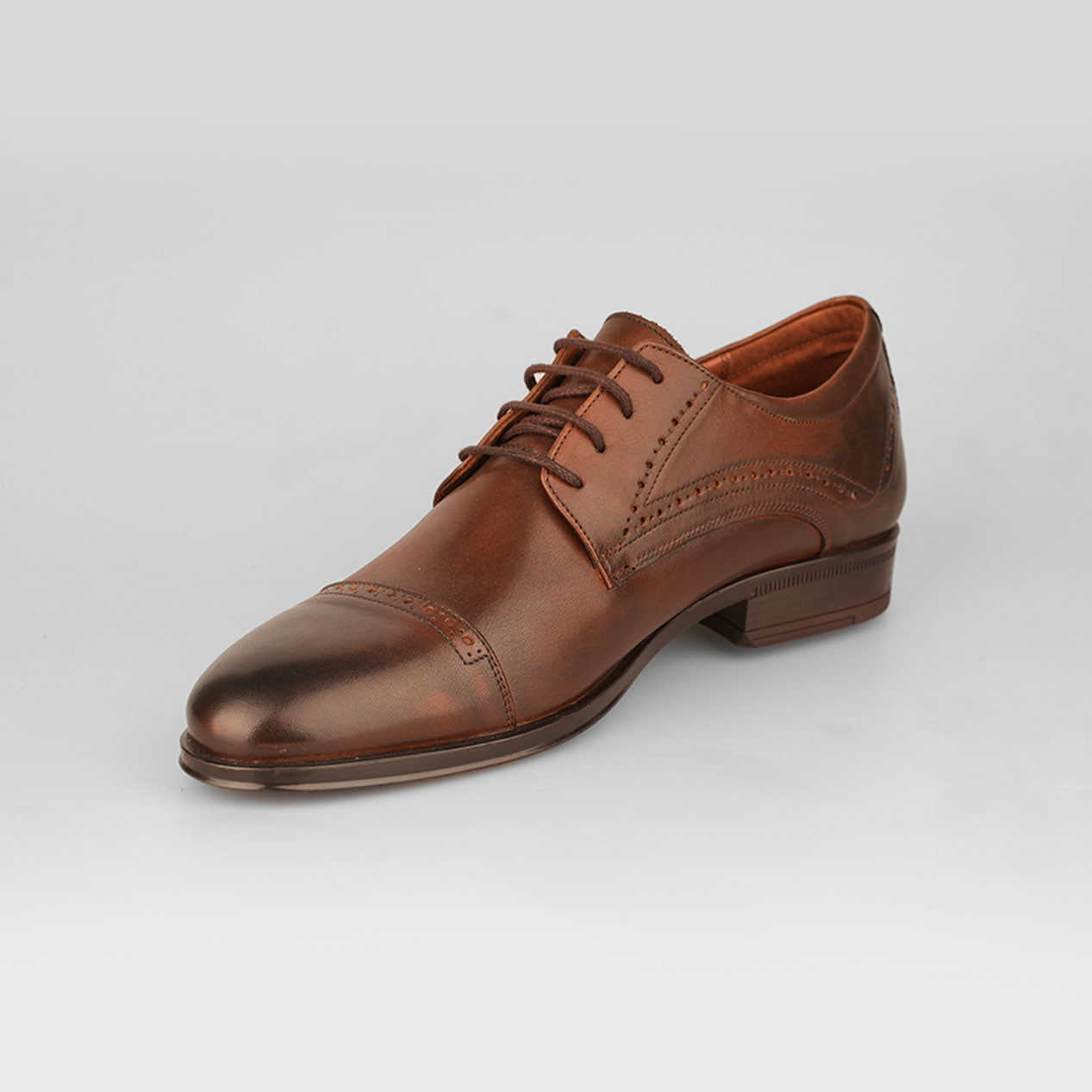 Oxford Chestnut – Florida
