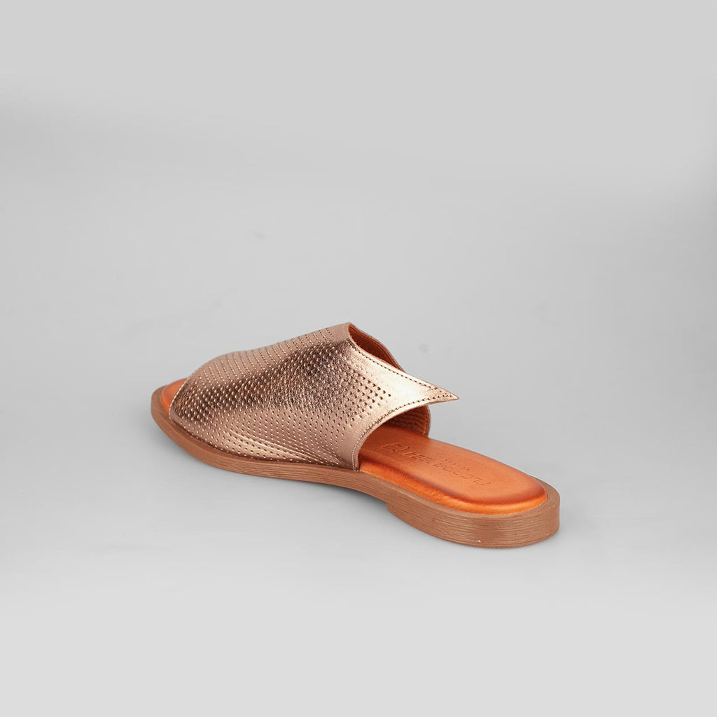 Breeze Bronze – Florida