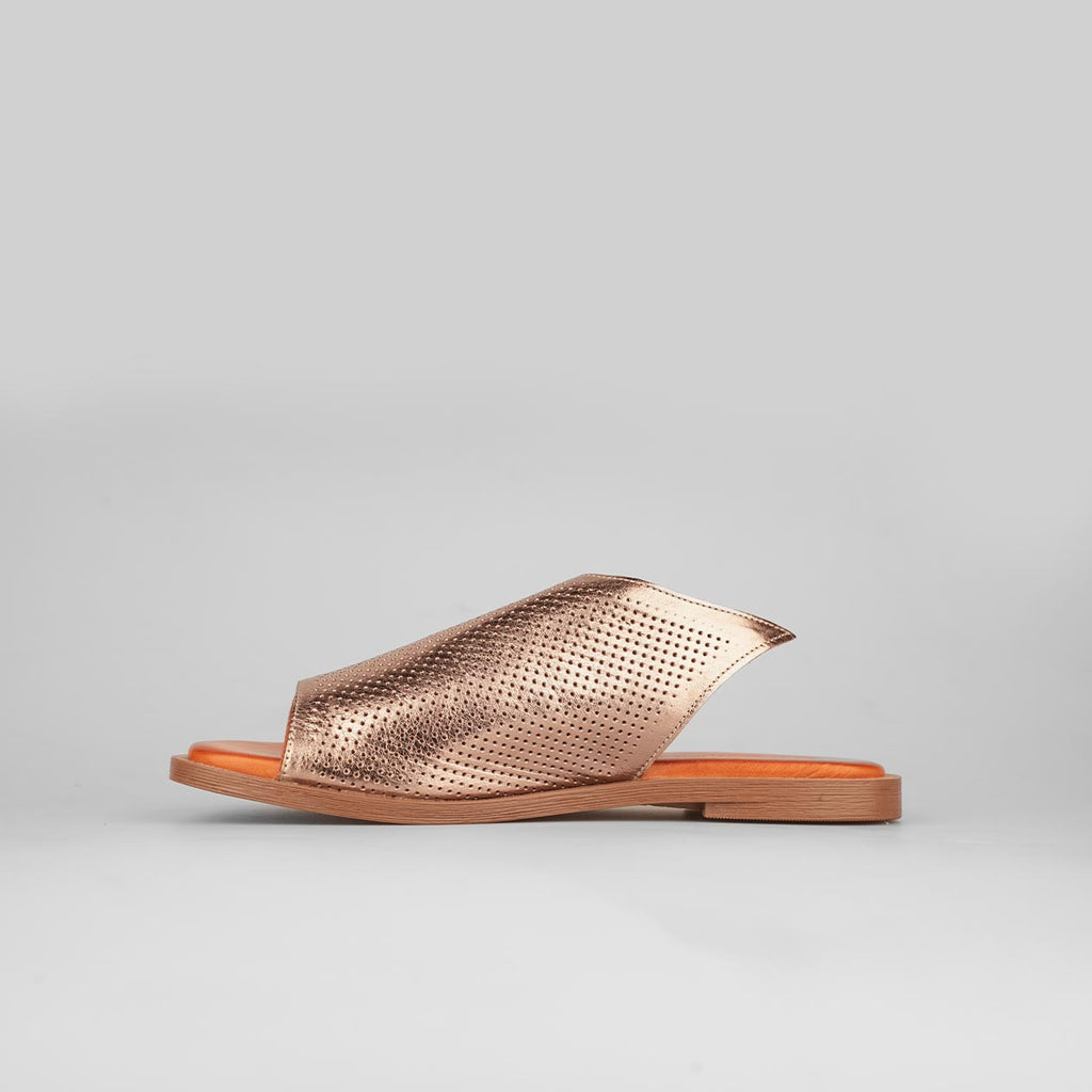 Breeze Bronze – Florida