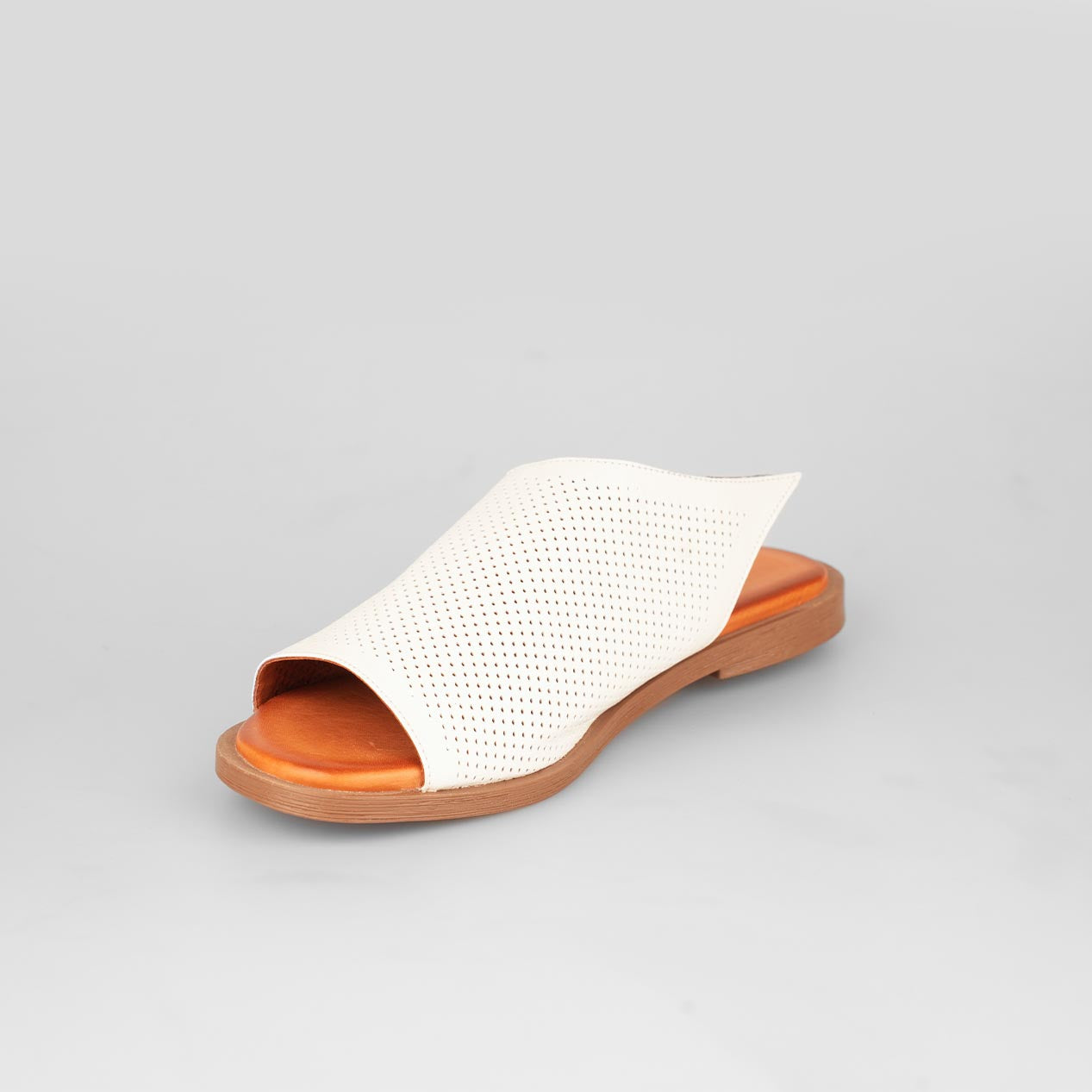 Lina Slide – Florida