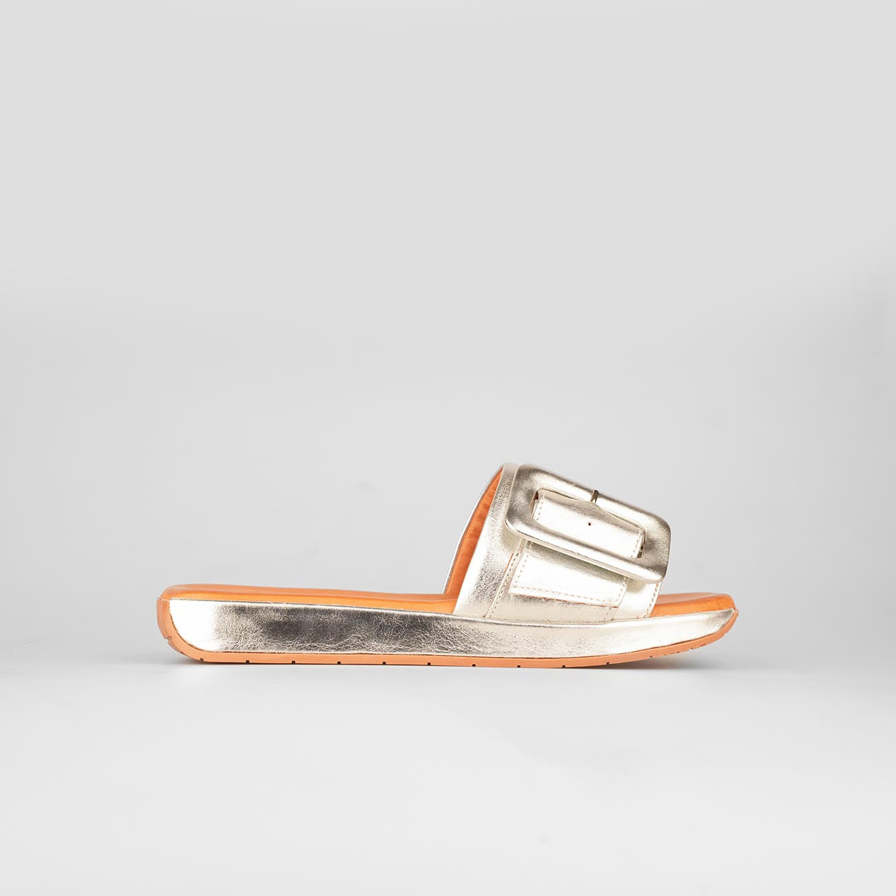 Brilla Buckle – Florida