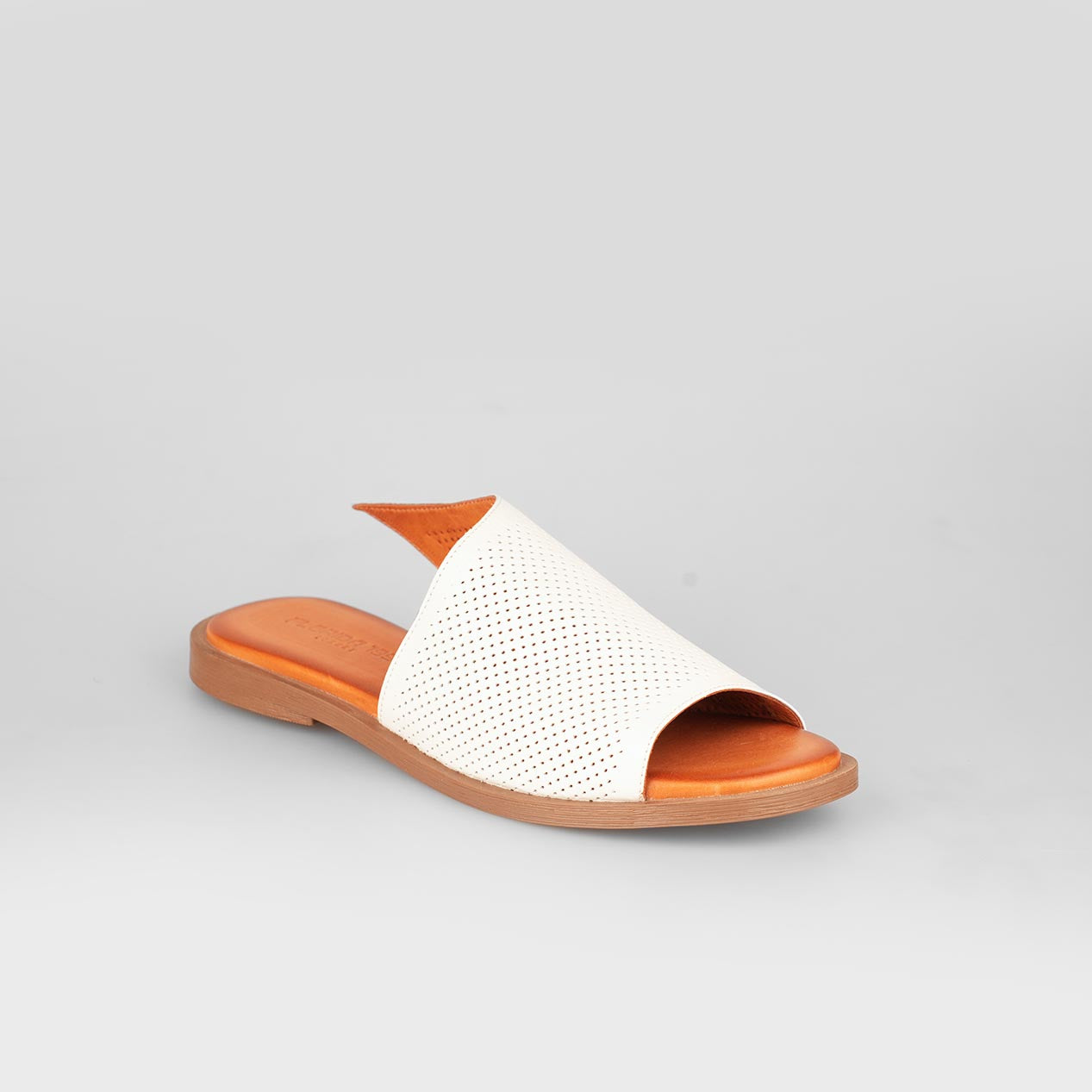 Lina Slide – Florida