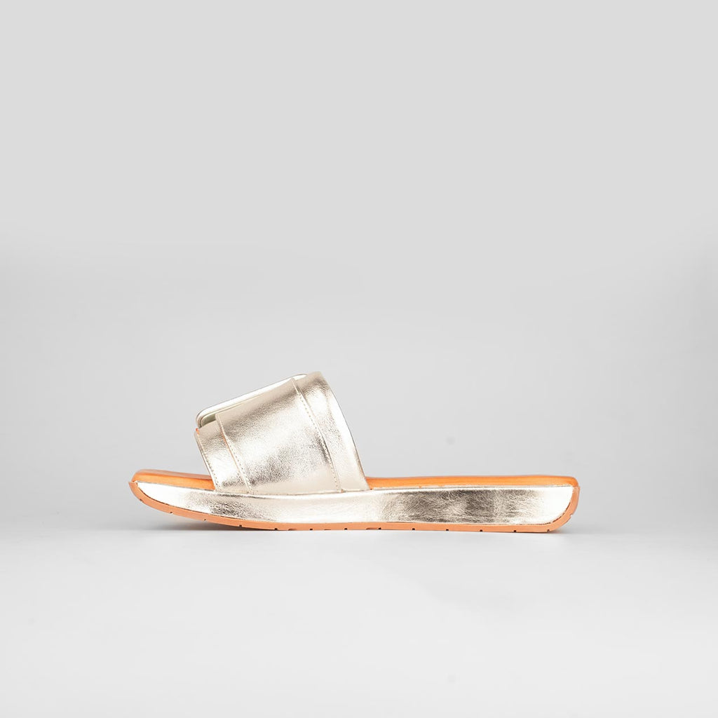 Brilla Buckle – Florida