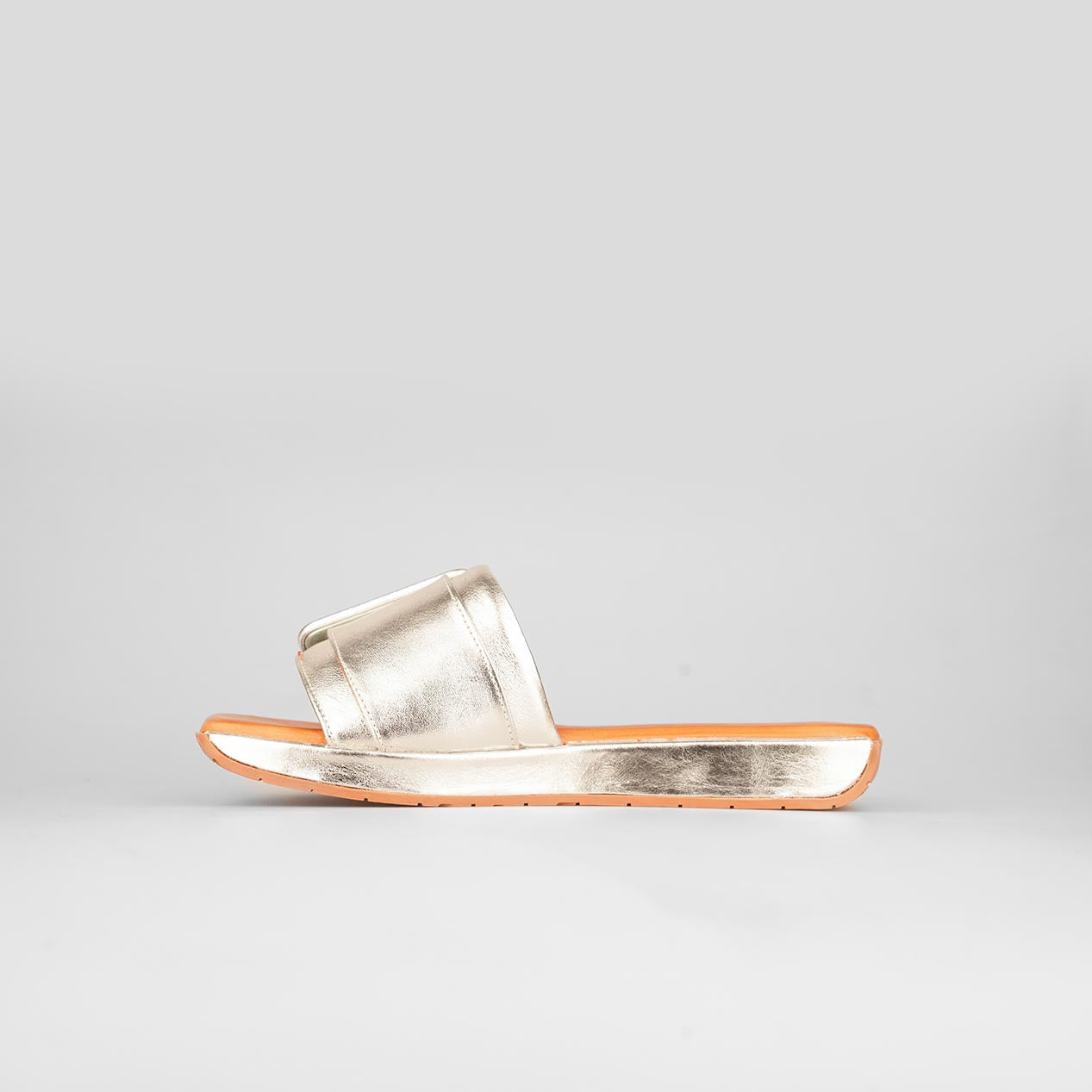 Brilla Buckle – Florida