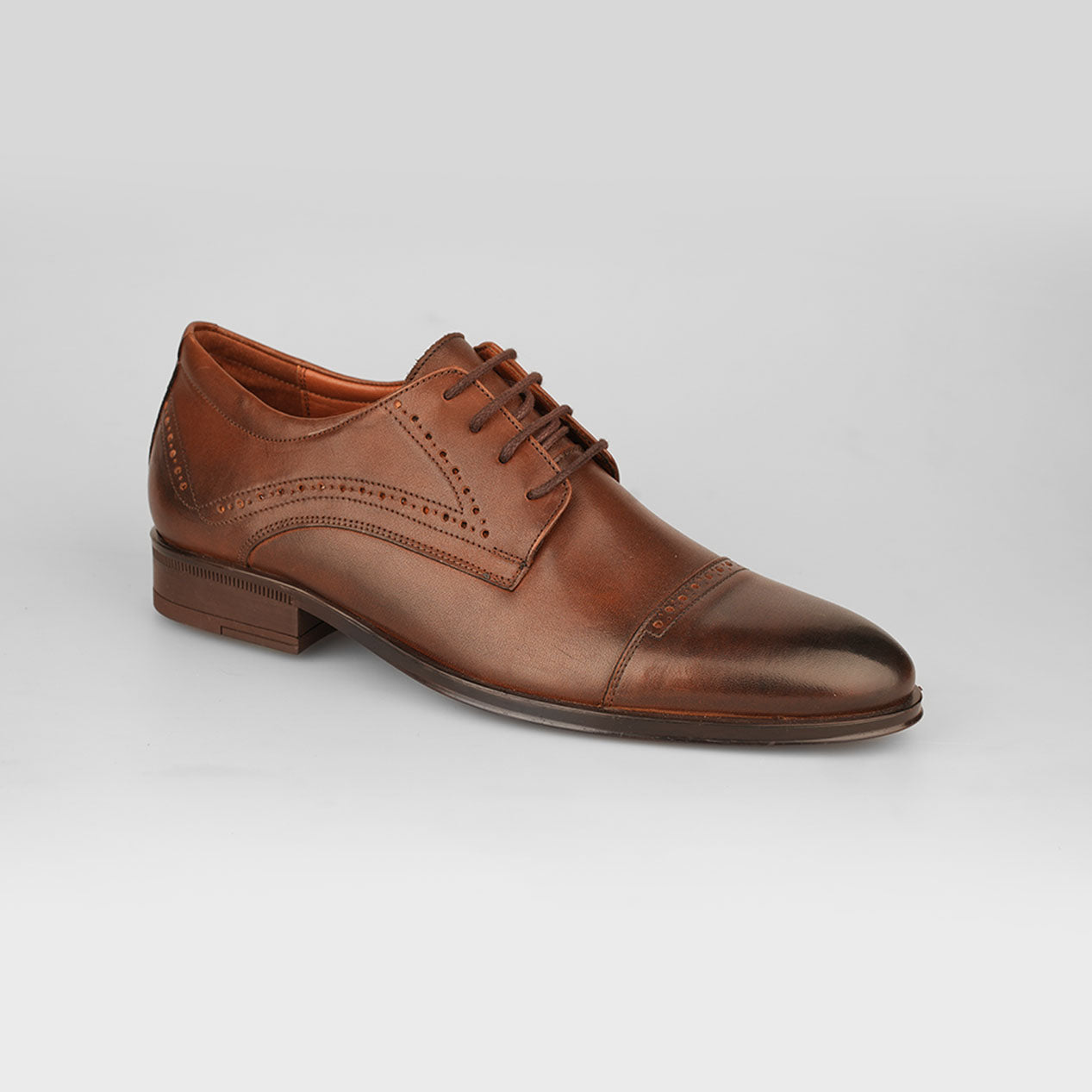 Oxford Chestnut – Florida