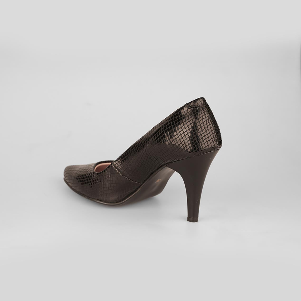 Serpente Noir – Florida