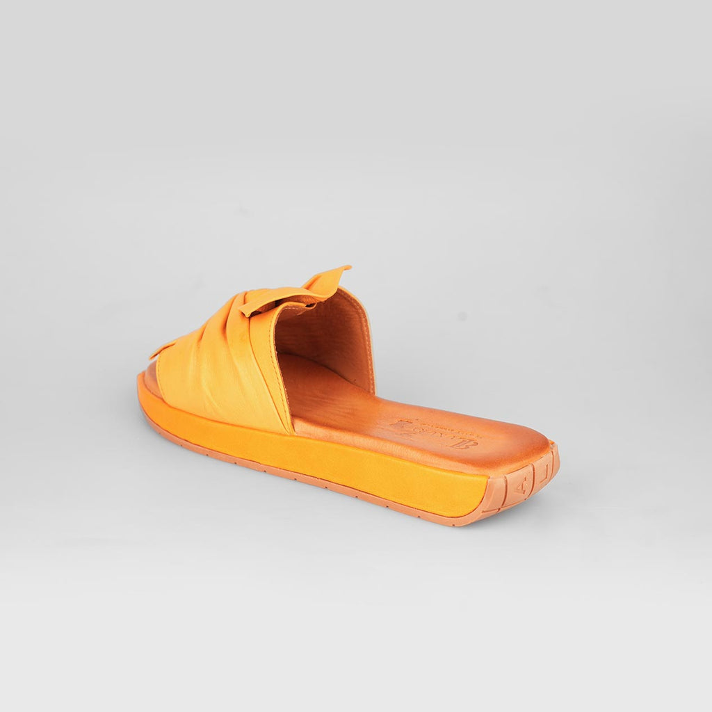 Soleil Bow – Florida