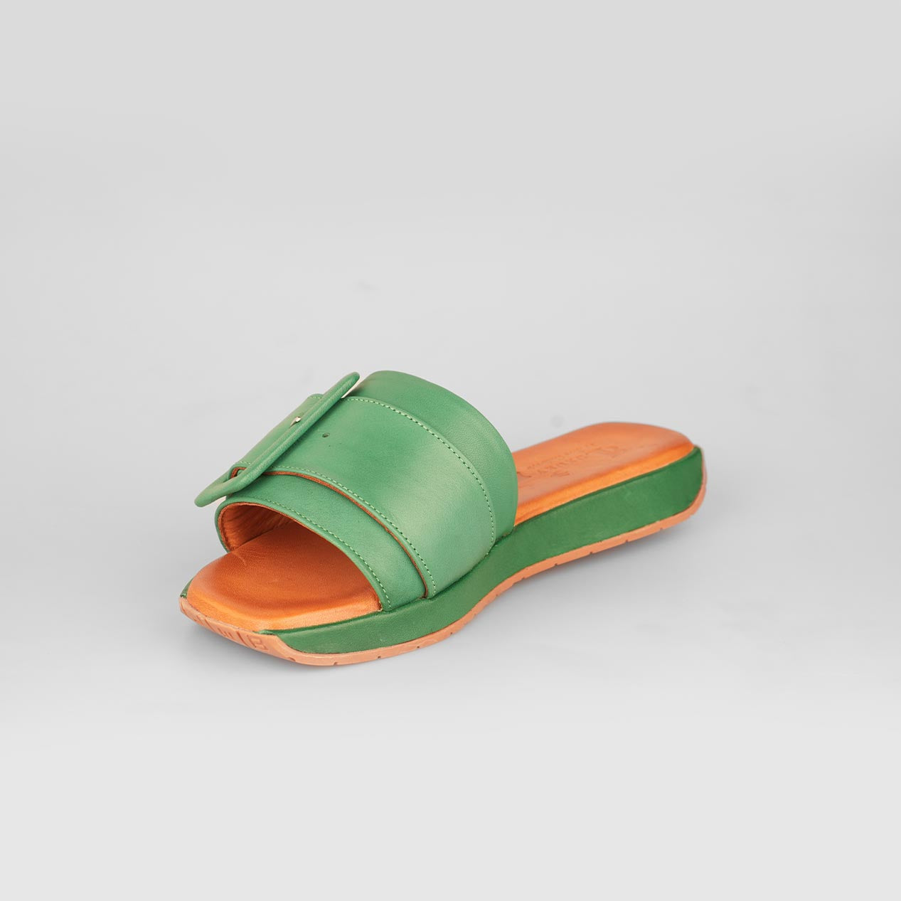Verde Buckle – Florida