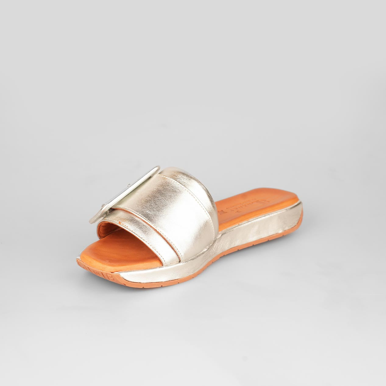 Brilla Buckle – Florida