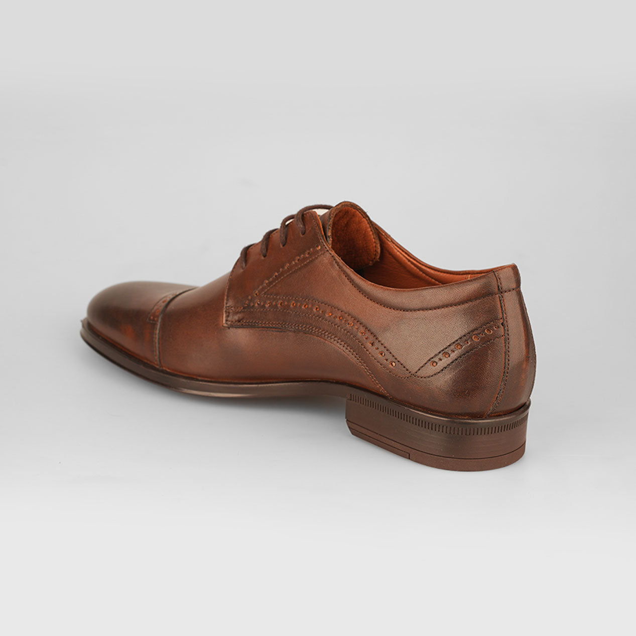 Oxford Chestnut – Florida