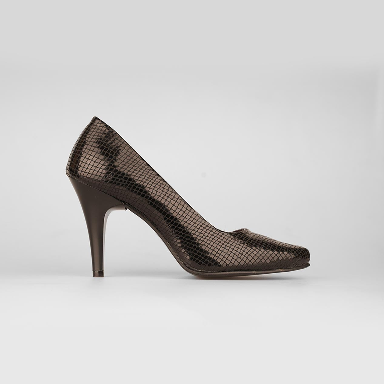 Serpente Noir – Florida