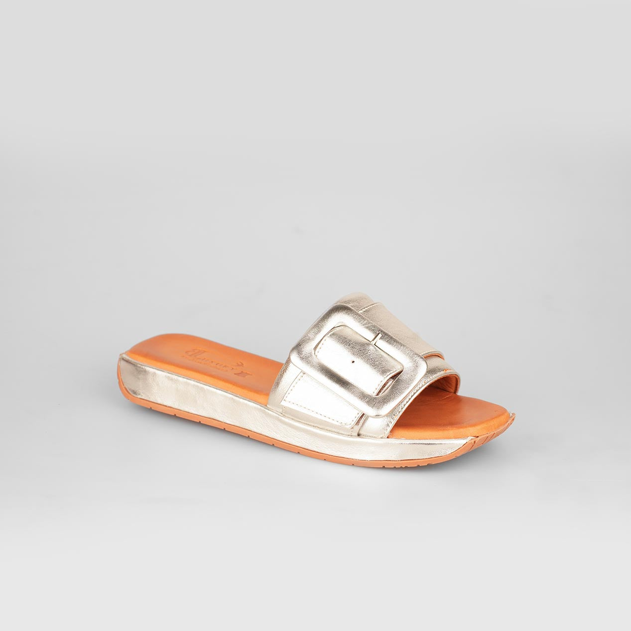 Brilla Buckle – Florida