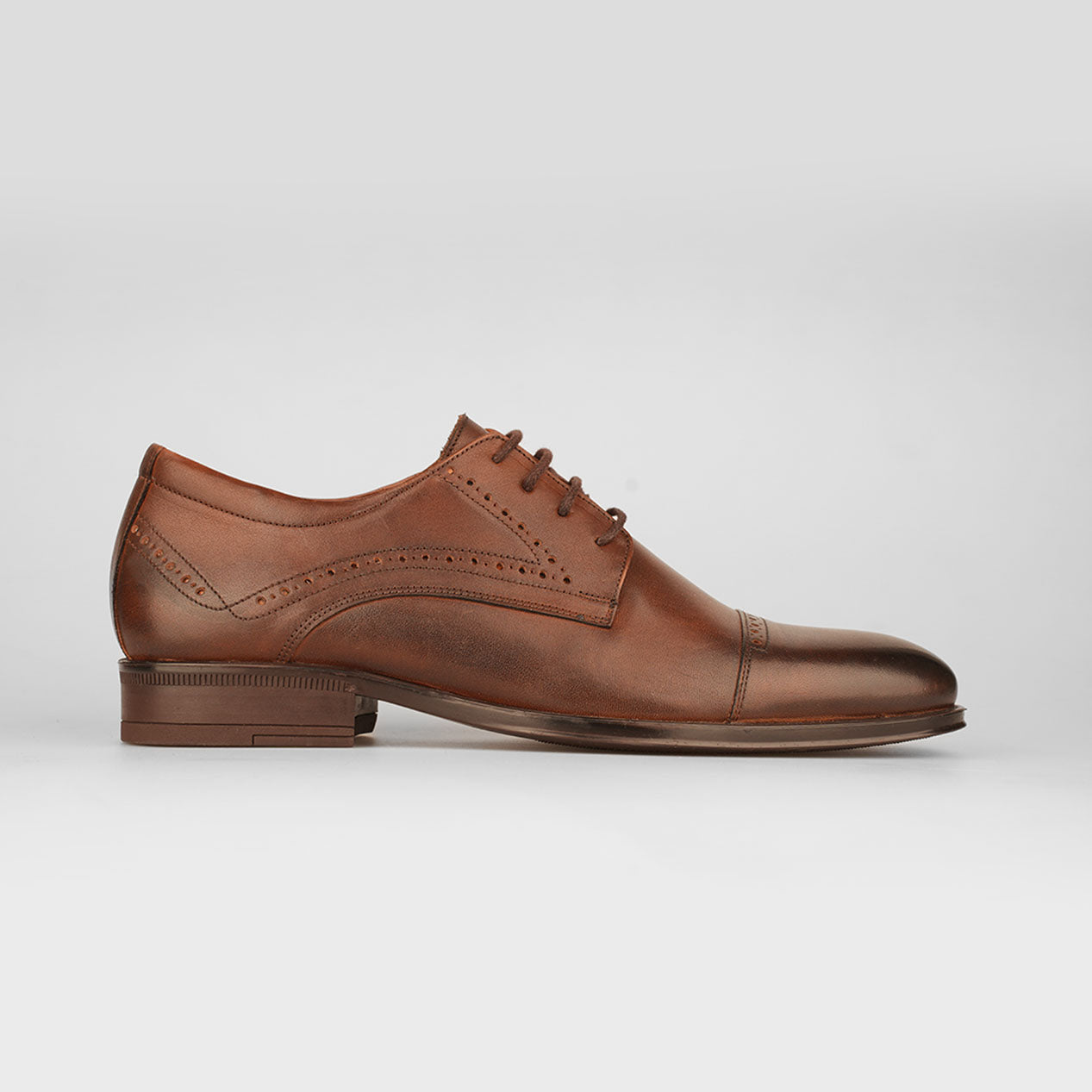 Oxford Chestnut – Florida