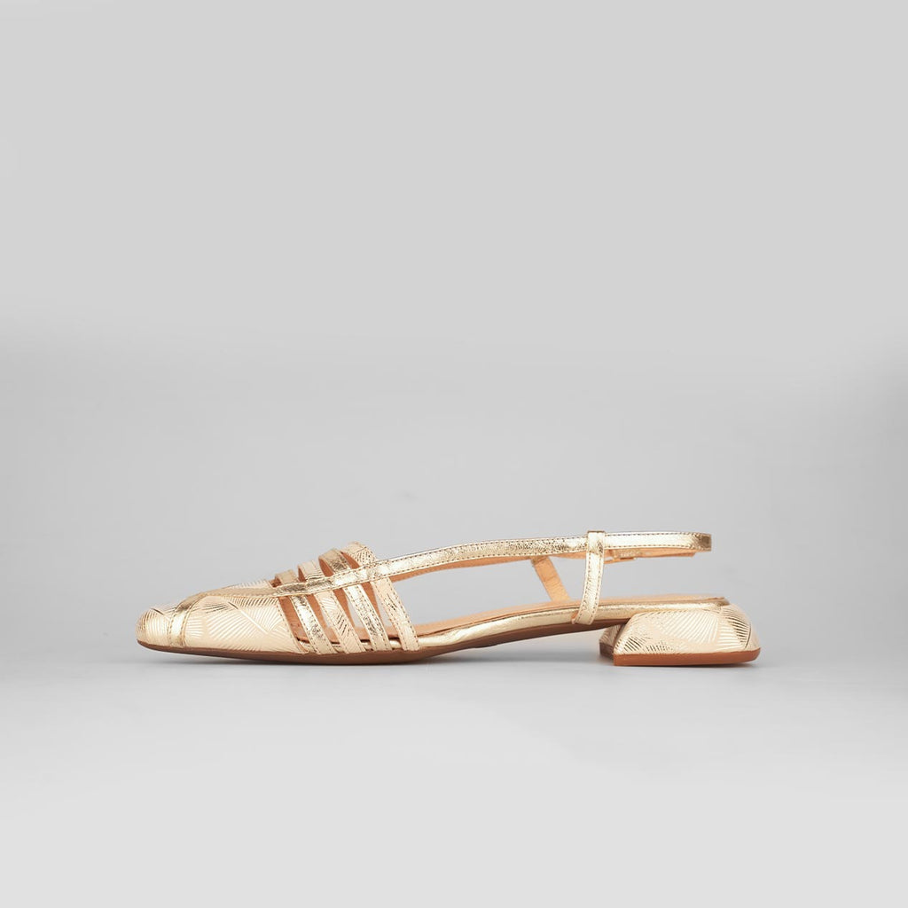 Oria Shine – Florida