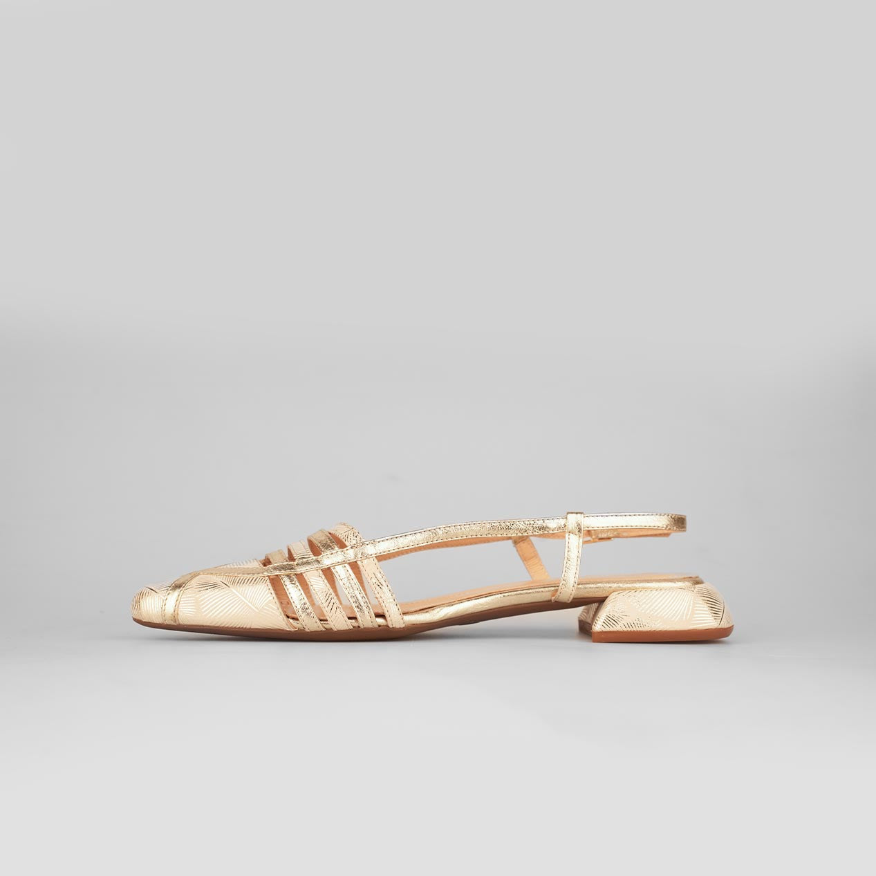 Oria Shine – Florida