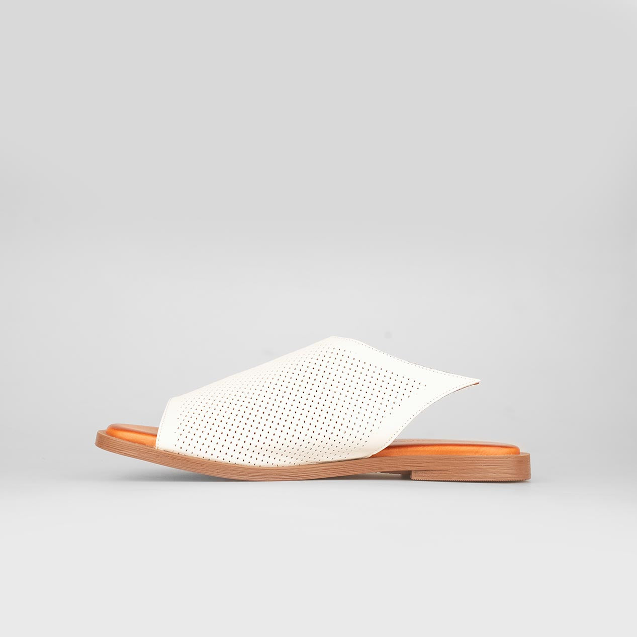 Lina Slide – Florida