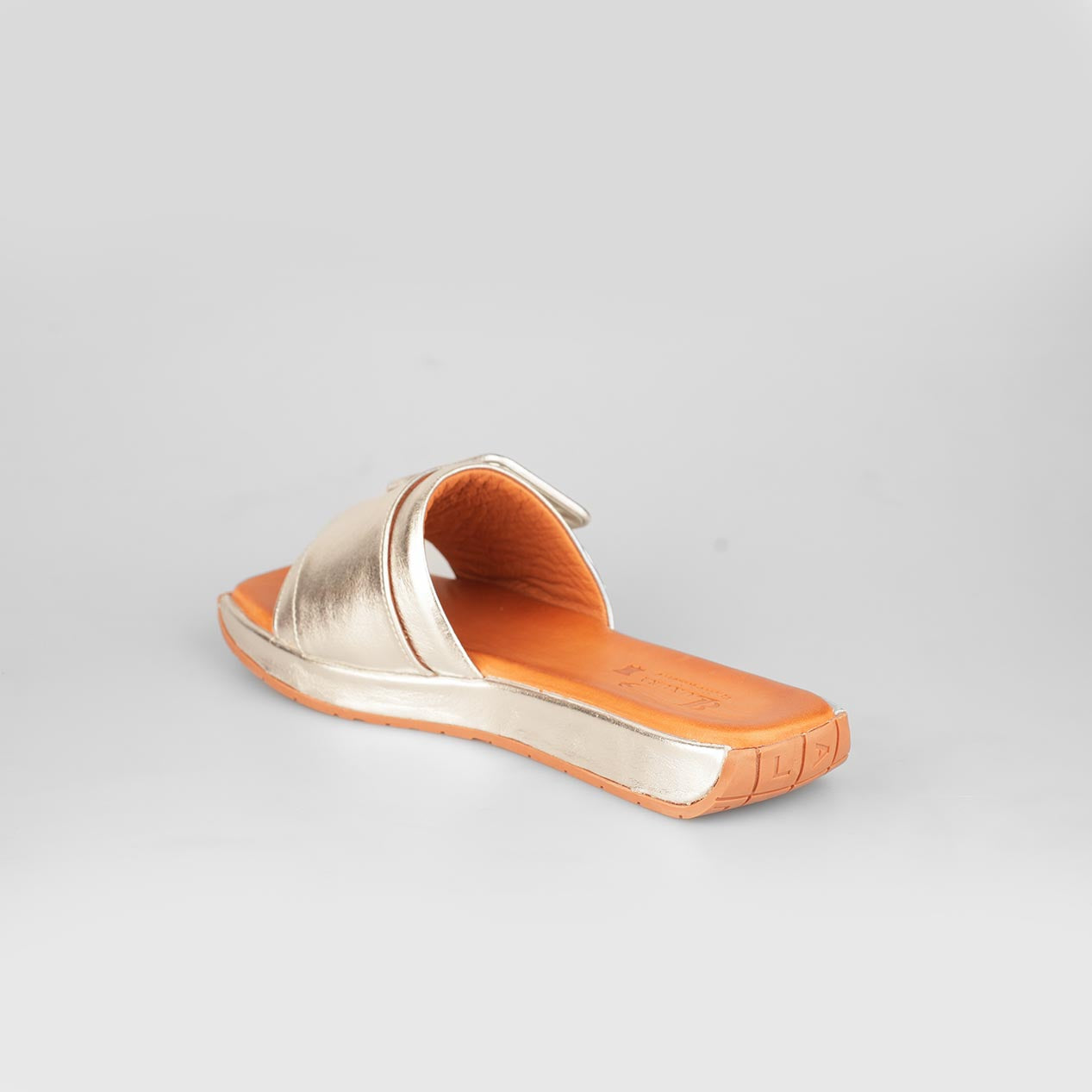 Brilla Buckle – Florida