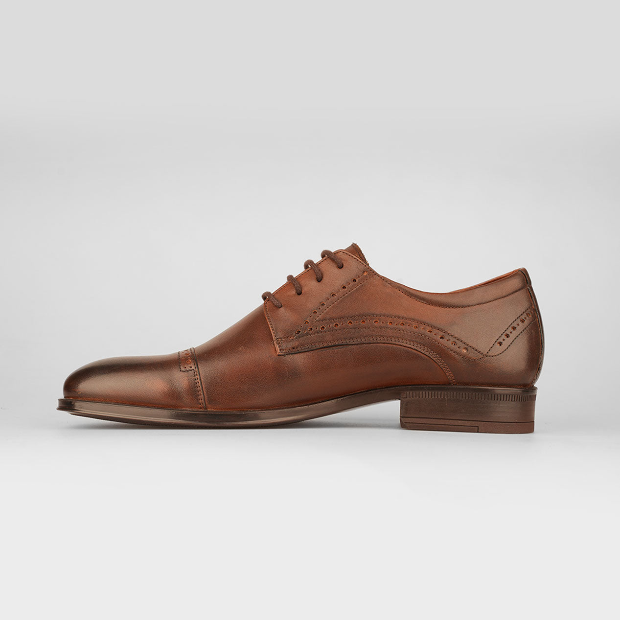 Oxford Chestnut – Florida