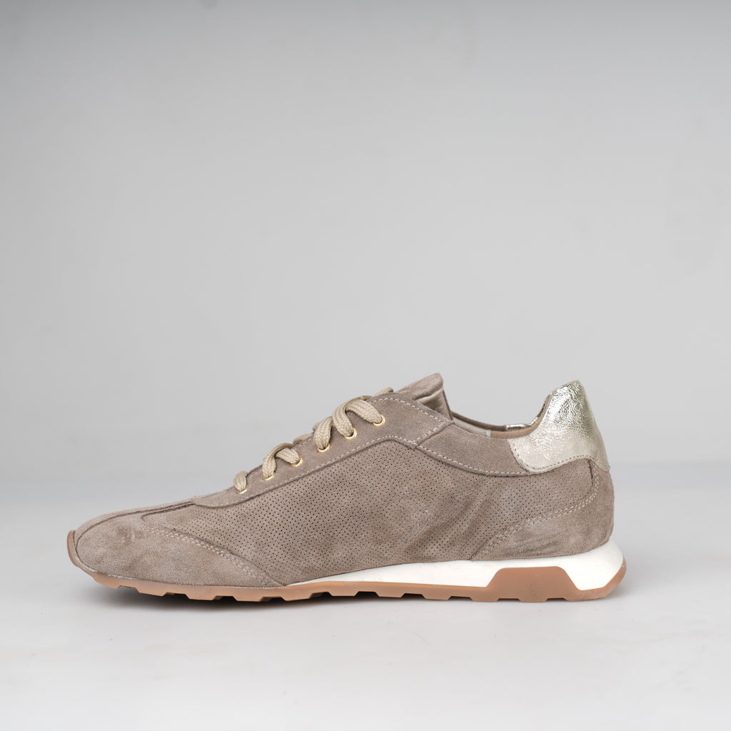 Sneaker Crema Siena – Florida Shoes