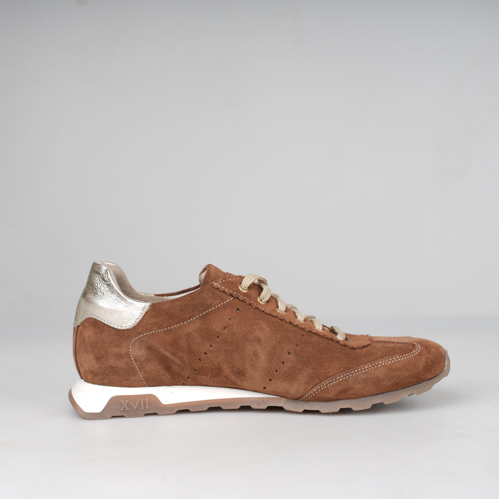Sneaker Tabacco Firenze – Florida Shoes