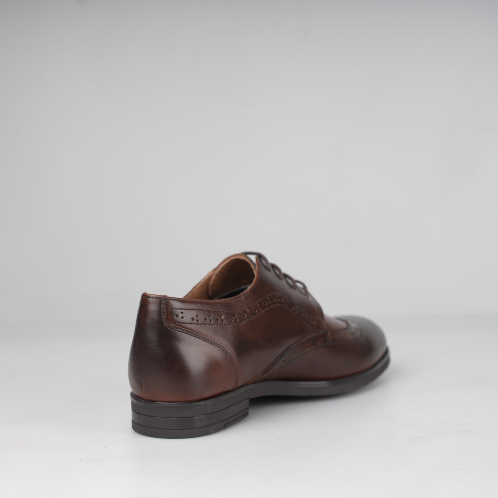 Oxford Marrone Eleganza – Florida Shoes
