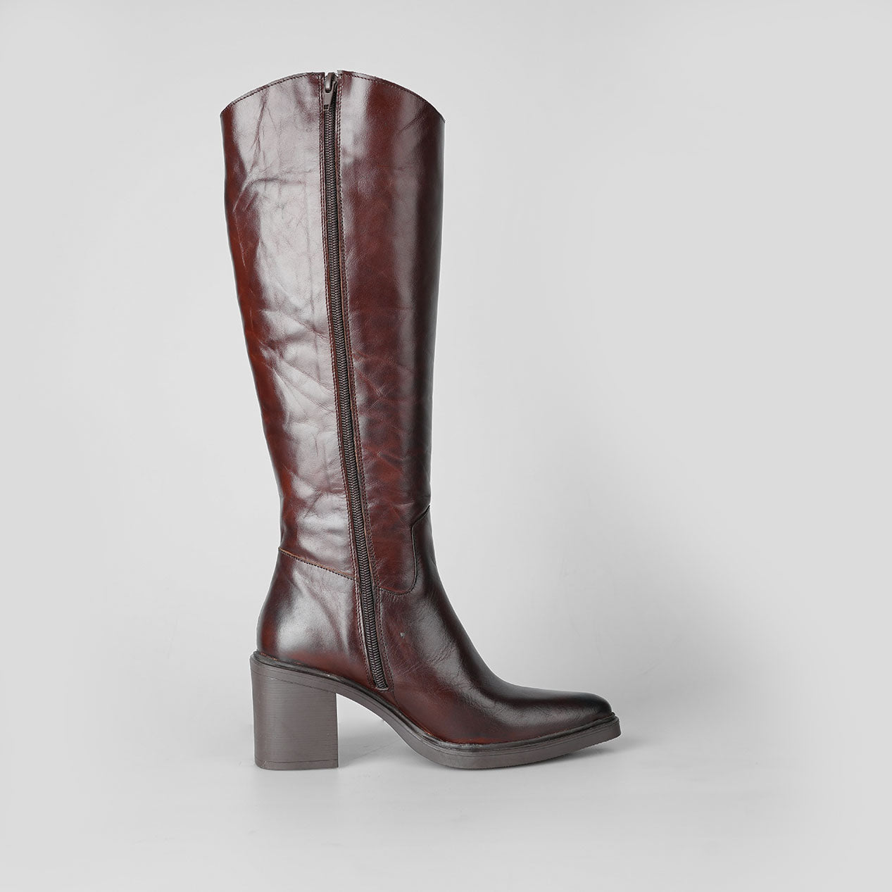 Urban Elegance – Florida Shoes